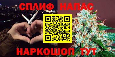 спиды Гусев