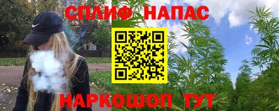 спиды Гусев